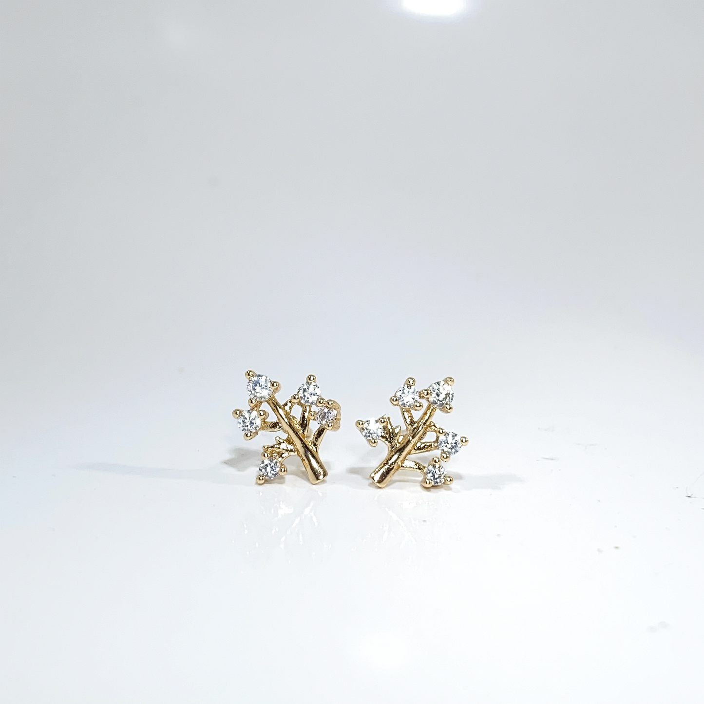 Nᐤ OES0001