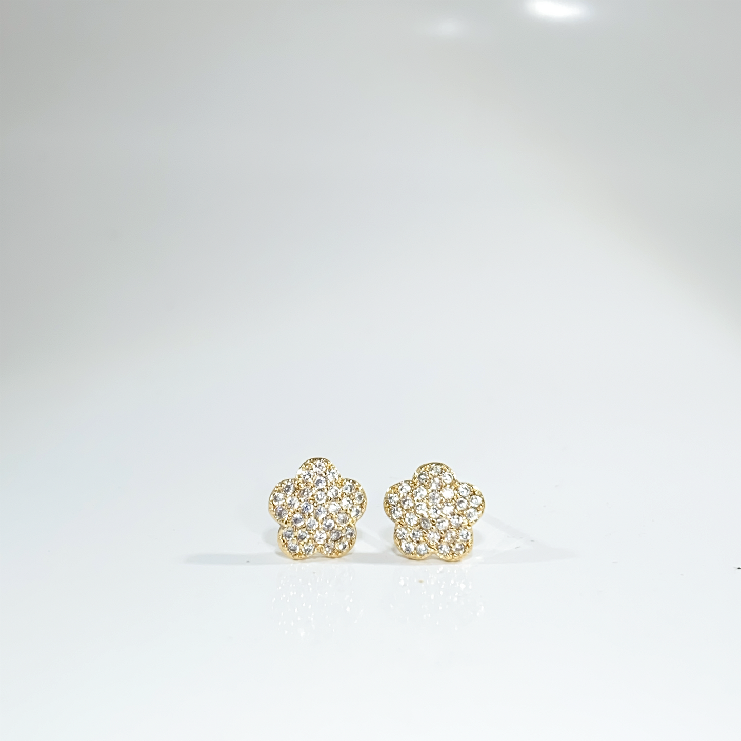 Nᐤ OES0016