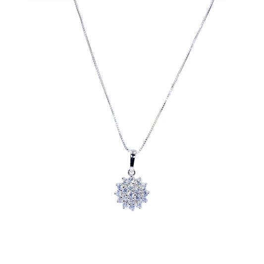 Nᐤ PD00015