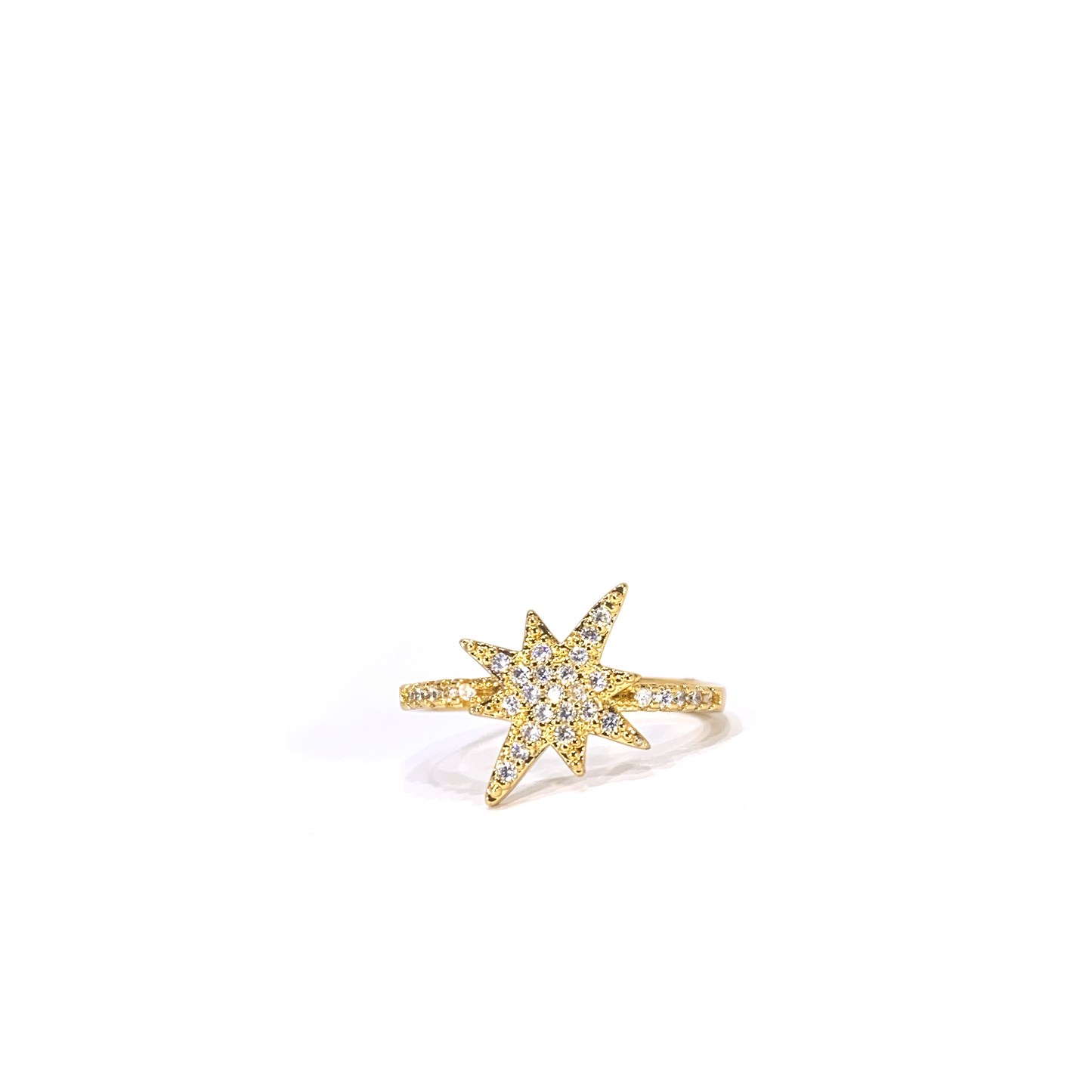 Nᐤ R00100