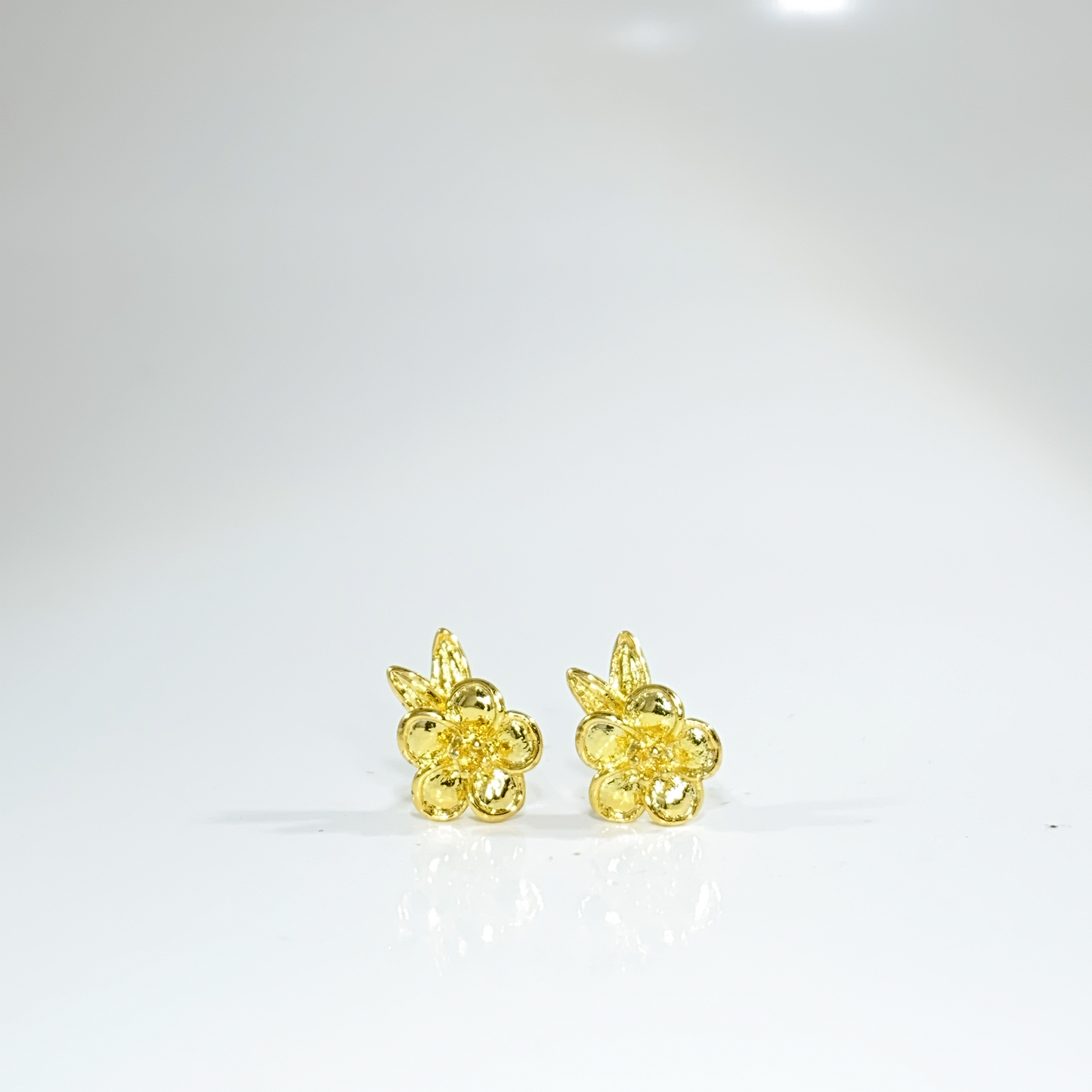 Nᐤ OES0012