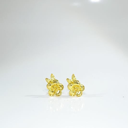Nᐤ OES0012