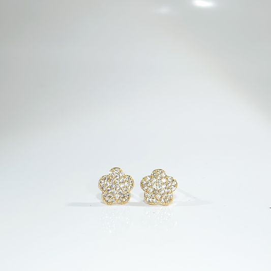 Nᐤ OES0016
