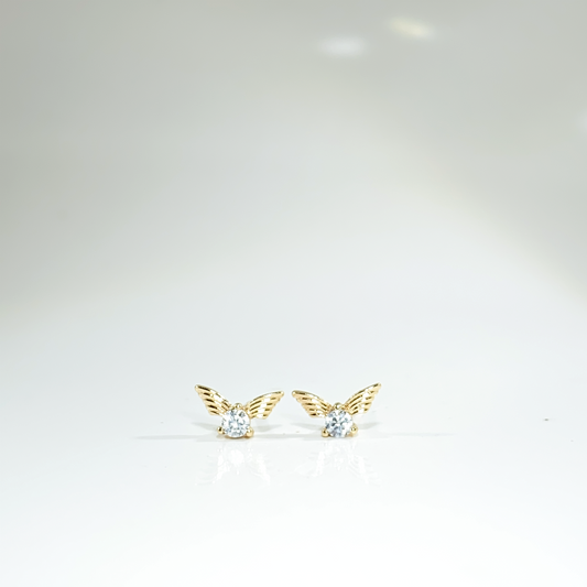 Nᐤ OES0017