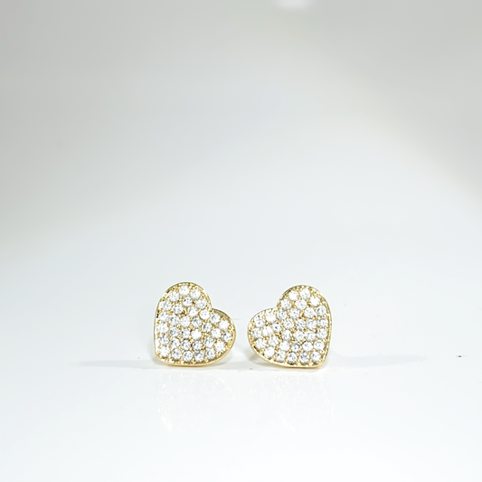 Nᐤ OES0019