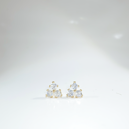 Nᐤ OES0023