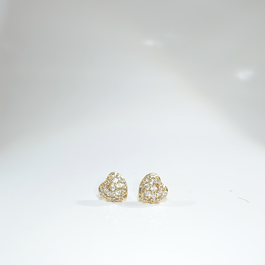 Nᐤ OES0024