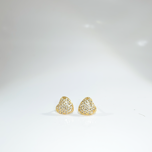 Nᐤ OES0026