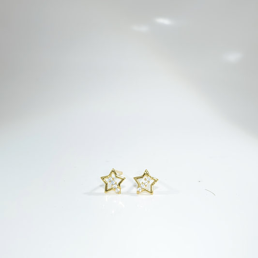 Nᐤ OES0029