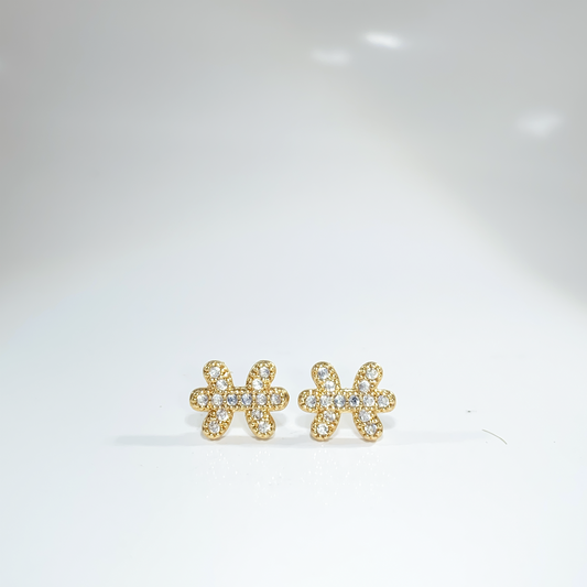 Nᐤ OES0030