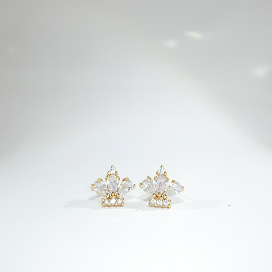 Nᐤ OES0035