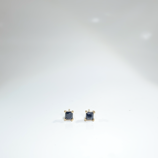 Nᐤ OES0036