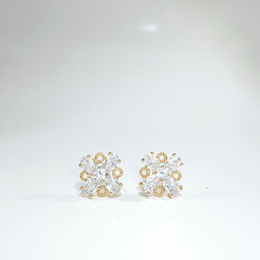 Nᐤ OES0052
