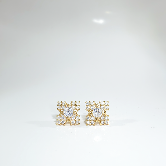 Nᐤ OES0069