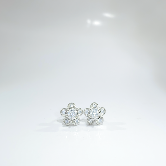 Nᐤ OES0094