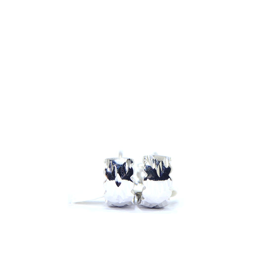 Nᐤ OEC00057